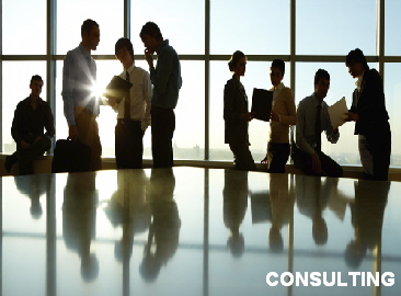 business_consulting